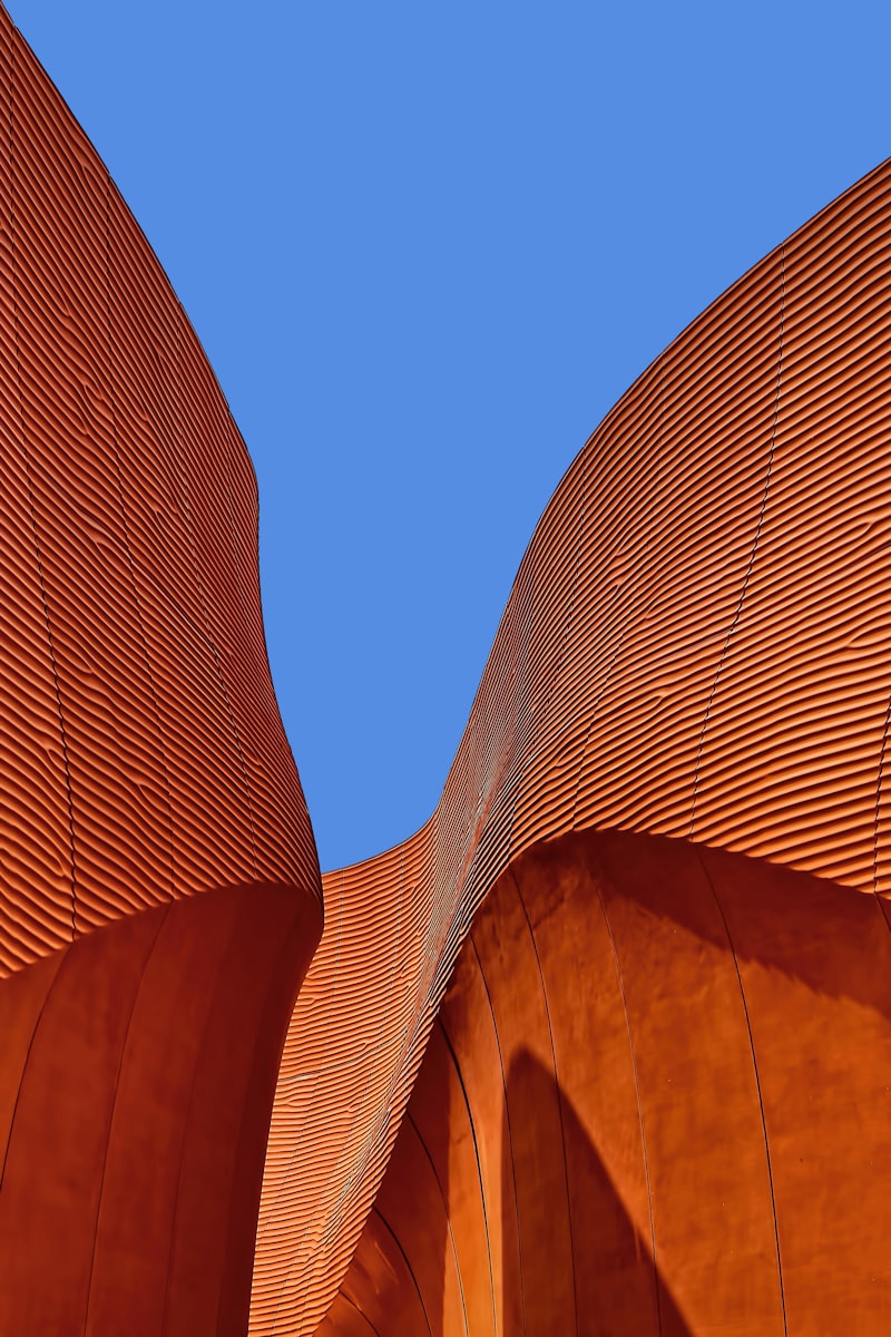 Vermilion Archive — curved ribbed shells meeting overhead